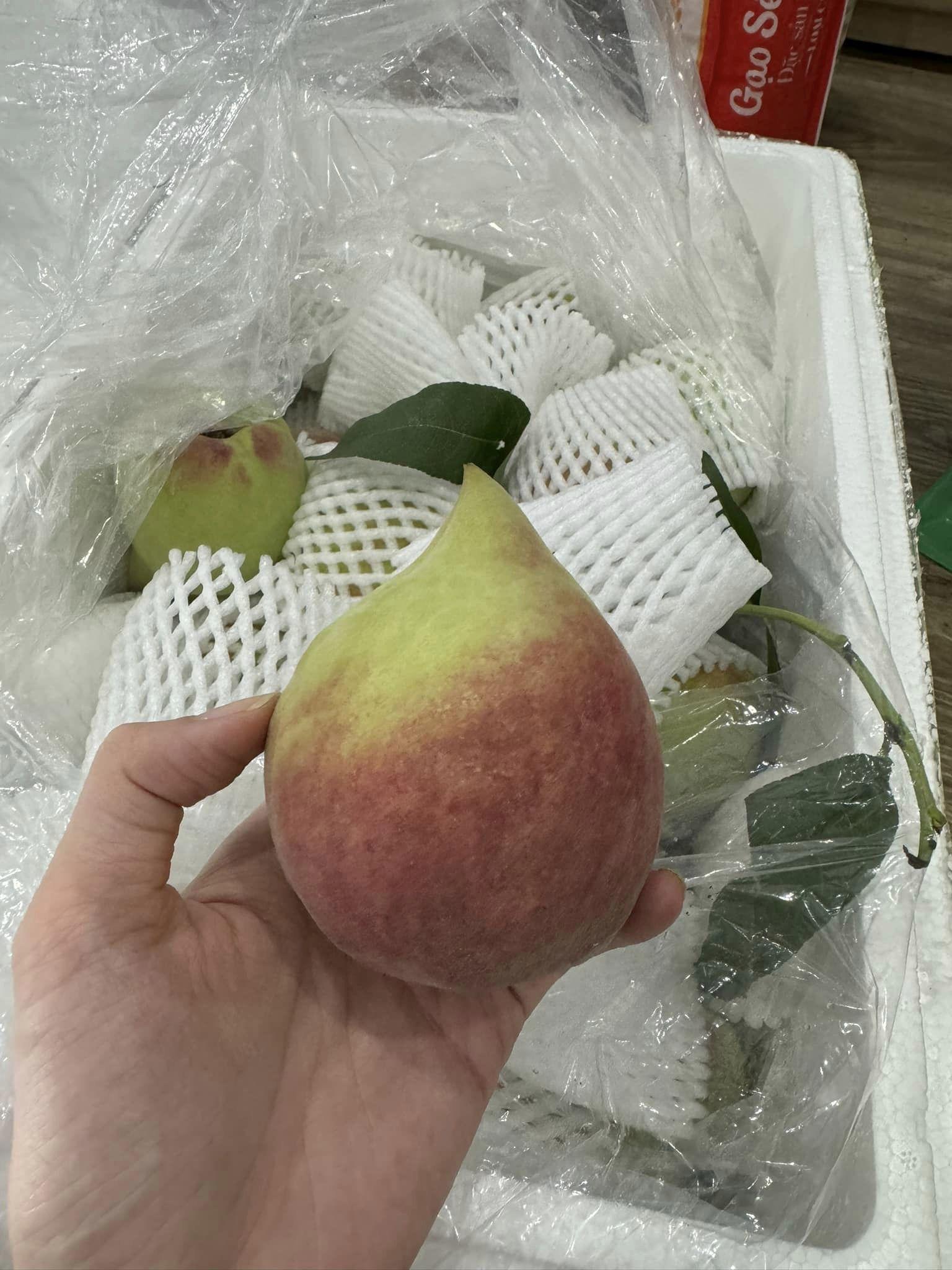 Loại đào Trung Quốc vào mùa, giá lên đến 150.000 đồng/kg vẫn hút khách-2