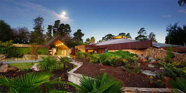 Du khách chi 28 triệu đồng để ăn, ngủ cạnh chúa sơn lâm, nghe sư tử gầm-2