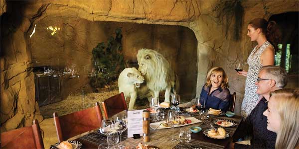 Du khách chi 28 triệu đồng để ăn, ngủ cạnh chúa sơn lâm, nghe sư tử gầm-3