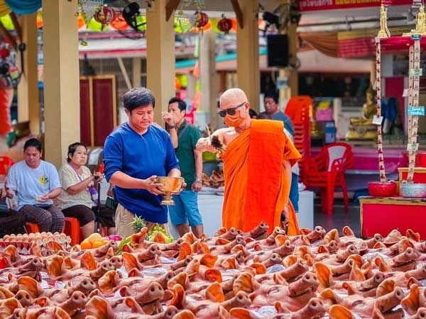 Cưới được vợ như ý, người đàn ông đem 99 thủ lợn cỡ đại đi lễ tạ-3