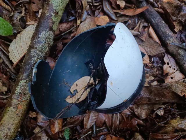 Cây rừng đổ, nữ du khách chết khi tham quan thác K50-1