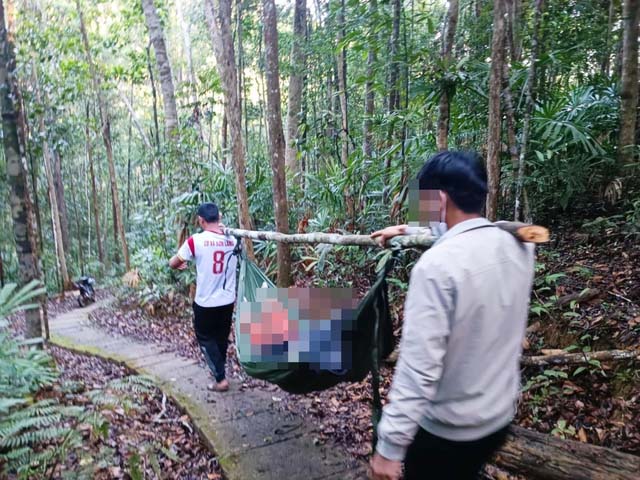 Cây rừng đổ, nữ du khách chết khi tham quan thác K50-2
