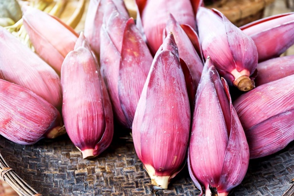 Loài hoa chỉ dùng chống đói lại gây bất ngờ với loạt lợi ích vàng” cho sức khỏe-2