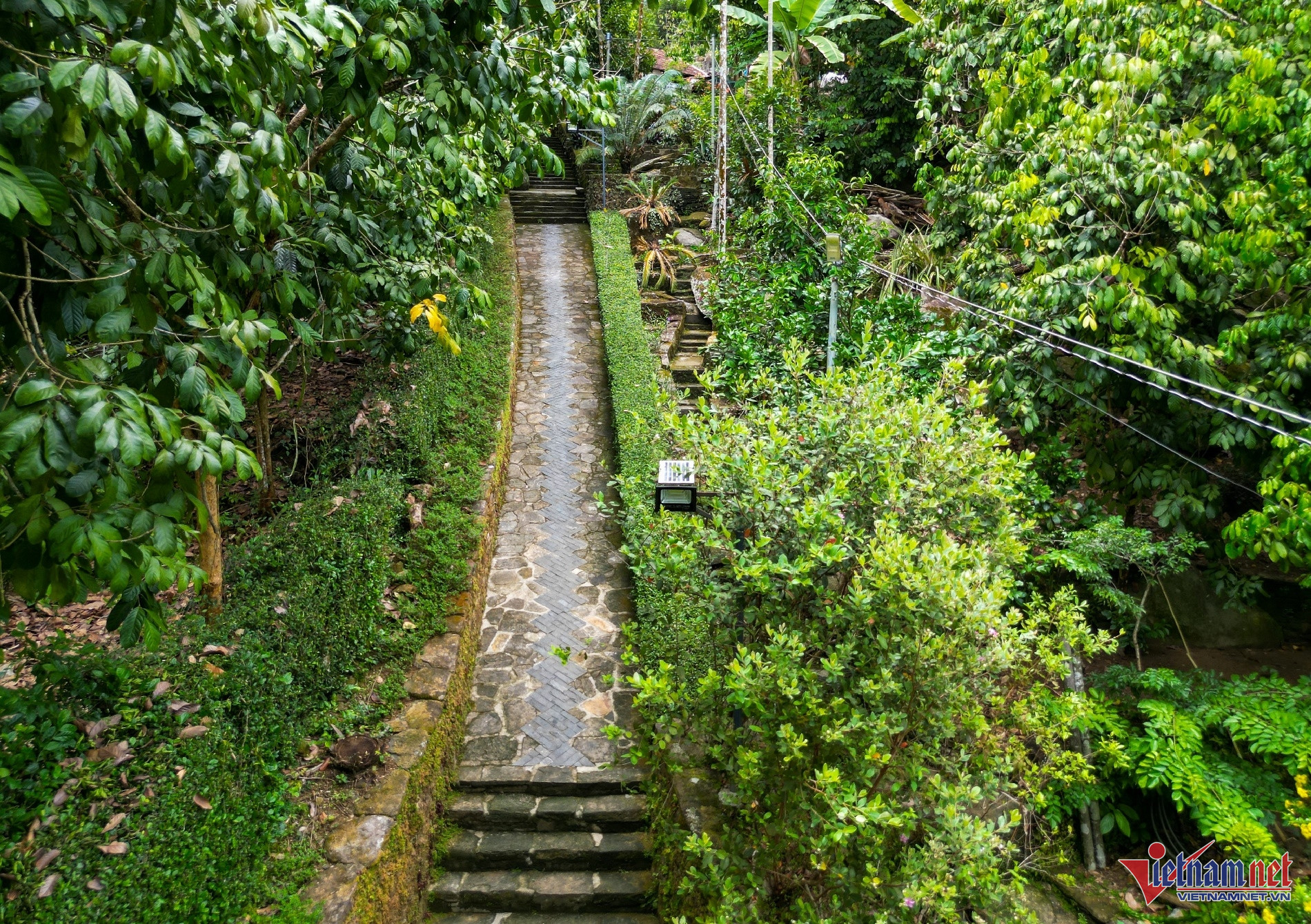 Nhà cổ 200 năm tuổi, đại gia trả giá triệu đô vẫn bị gia chủ lắc đầu-2