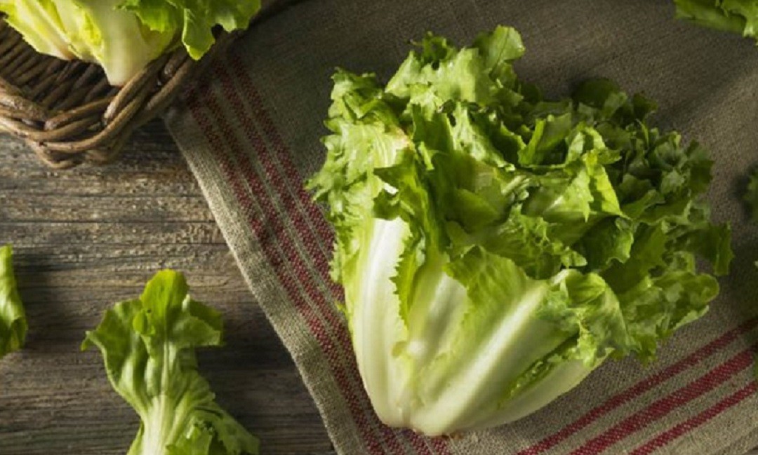 5 đặc điểm vạch trần rau tắm nhiều thuốc trừ sâu, cái số 1 cực dễ-1