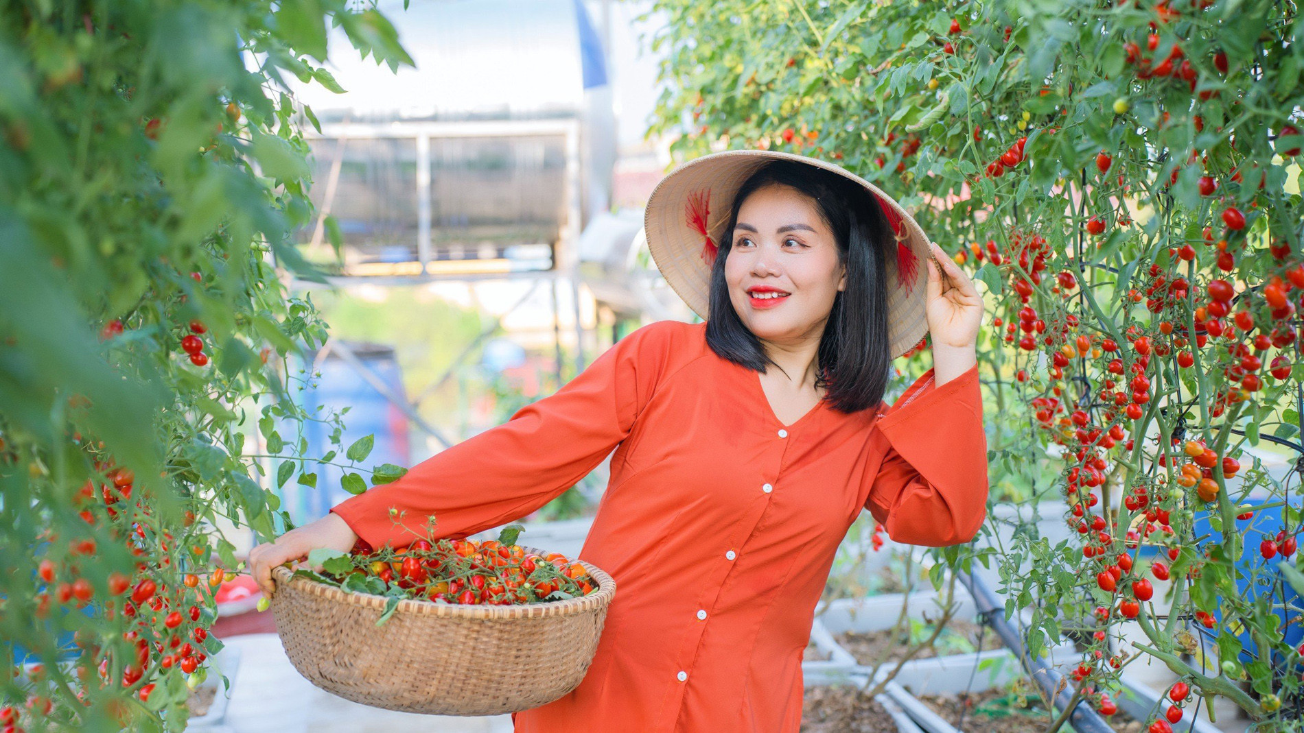 Mẹ đảm ở Hà Tĩnh làm vườn dưa treo trên sân thượng, thu 600 quả ngọt một mùa-1