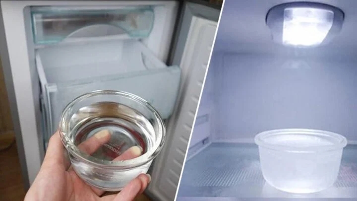Mẹo tiết kiệm điện cho tủ lạnh chỉ bằng một bát nước-1