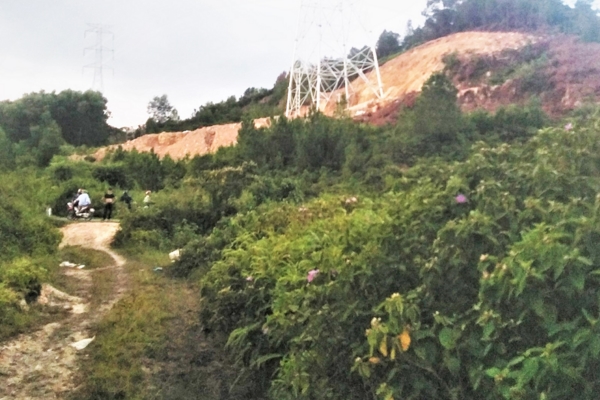 Nam thanh niên dùng dao lam cướp tài sản, ép nạn nhân chụp ảnh khỏa thân-2