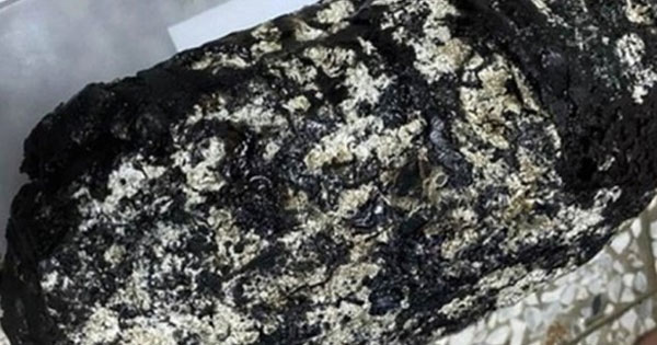 Đánh cá ven biển, lão ngư dân nhặt được thứ trị giá 5 tỷ đồng-1