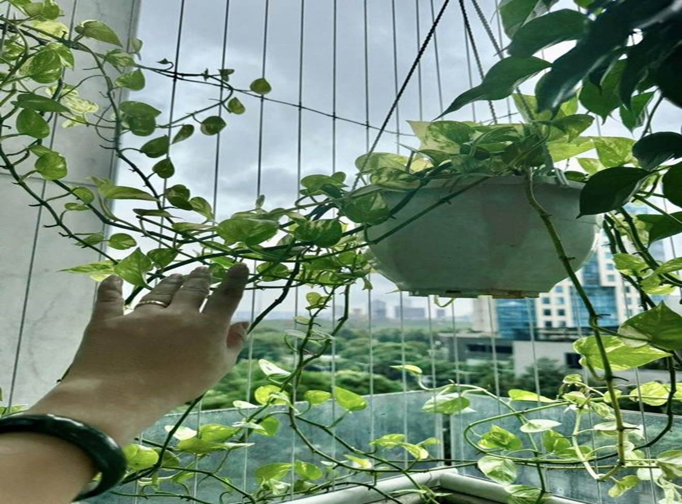 Bà xã Đại úy xinh đẹp của NSND Tự Long khoe ban công xanh mướt-7