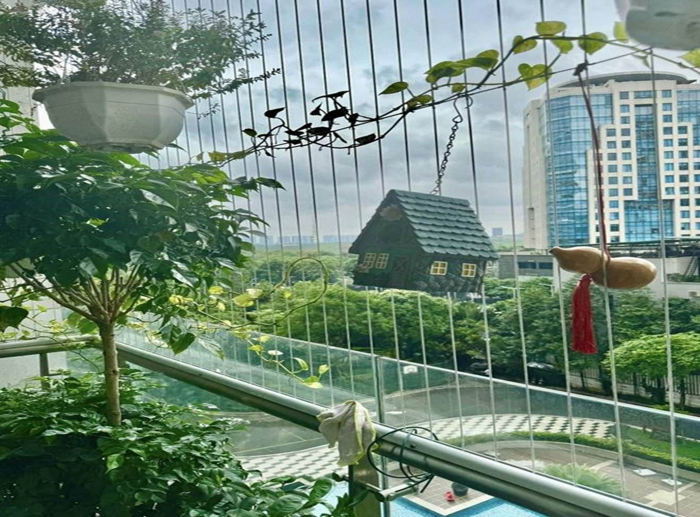 Bà xã Đại úy xinh đẹp của NSND Tự Long khoe ban công xanh mướt-12