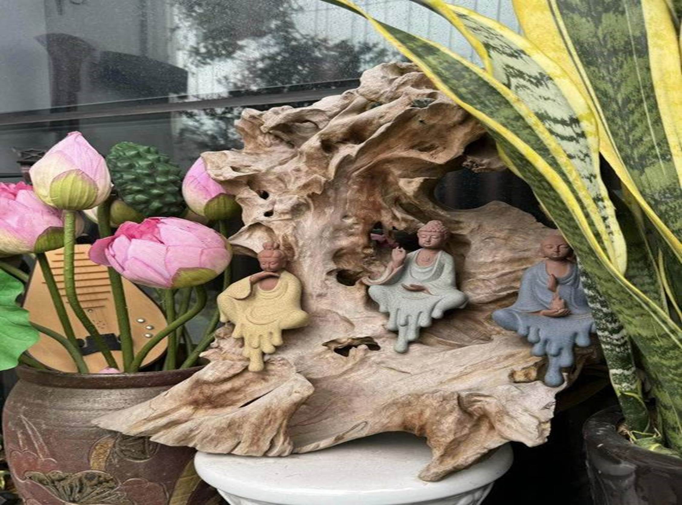 Bà xã Đại úy xinh đẹp của NSND Tự Long khoe ban công xanh mướt-13