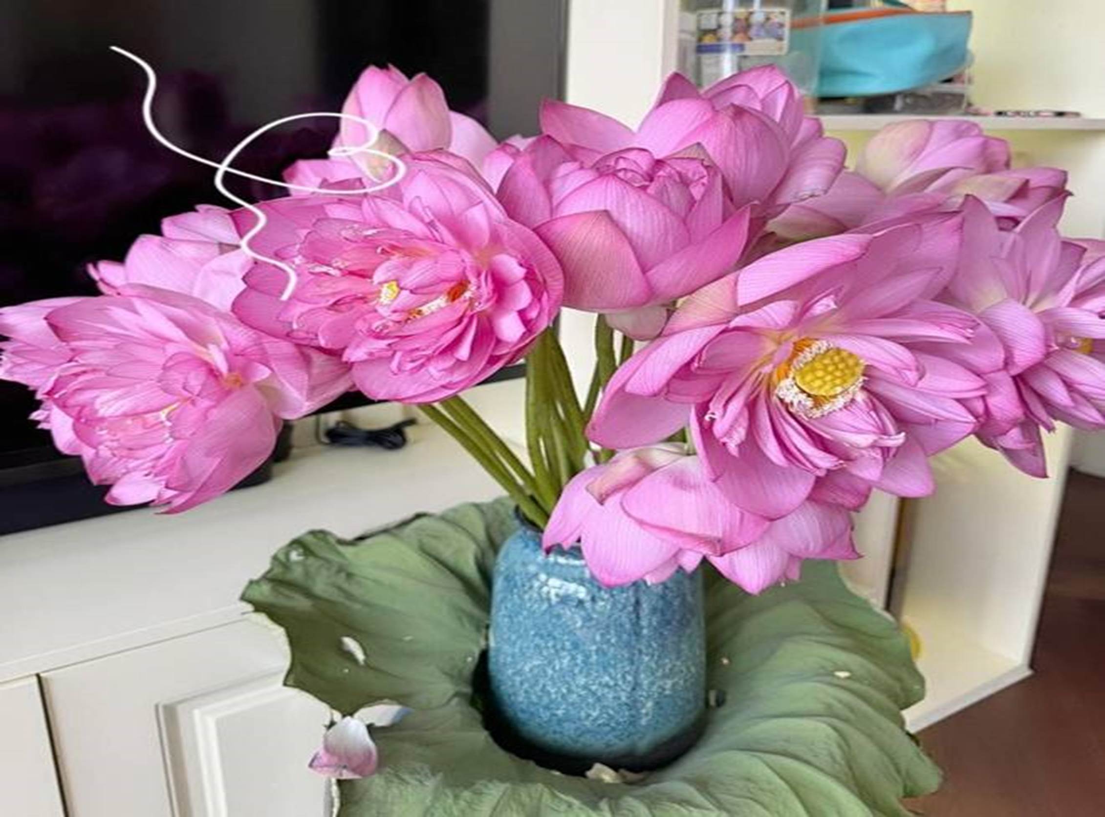 Bà xã Đại úy xinh đẹp của NSND Tự Long khoe ban công xanh mướt-25