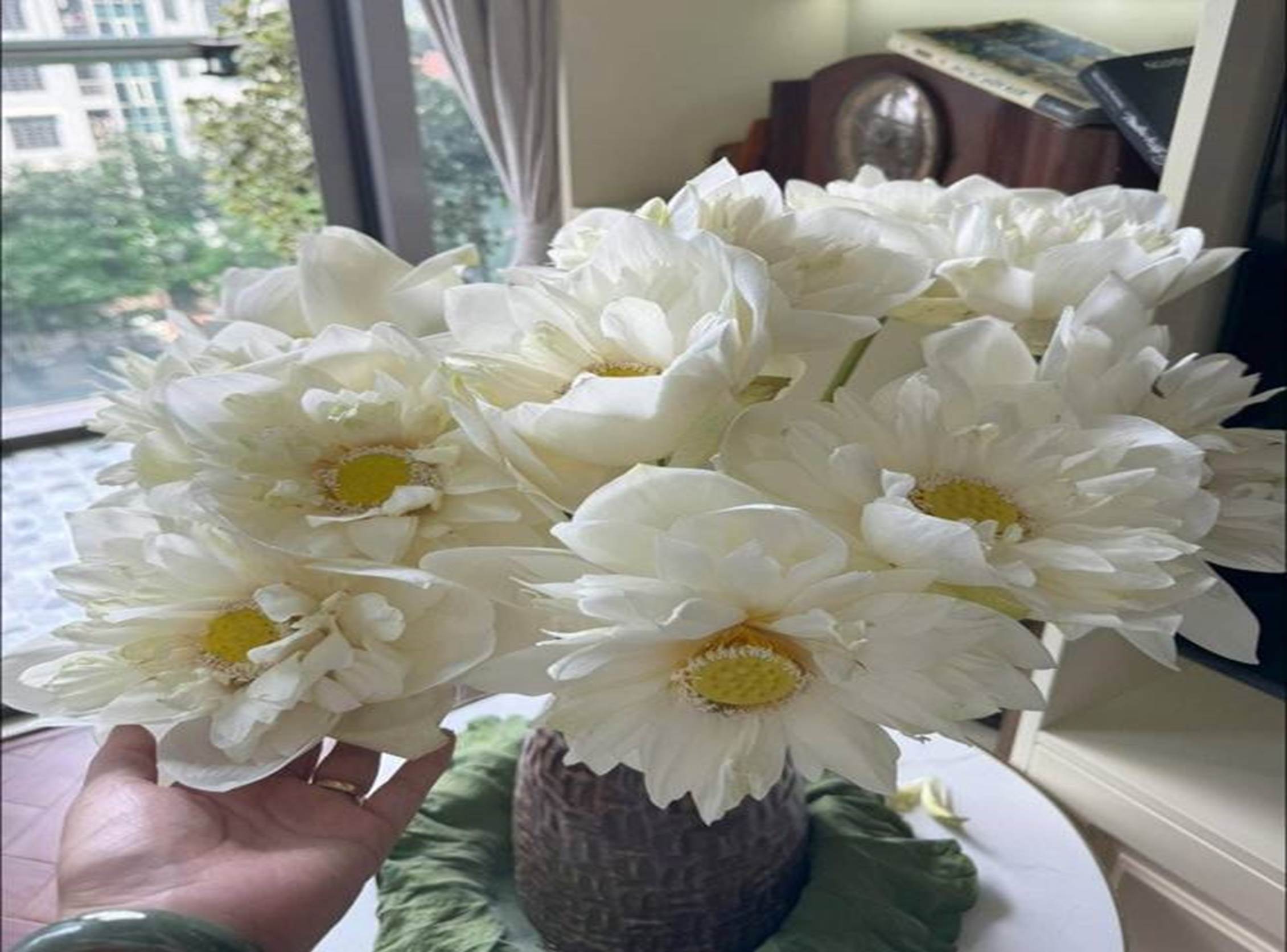 Bà xã Đại úy xinh đẹp của NSND Tự Long khoe ban công xanh mướt-26