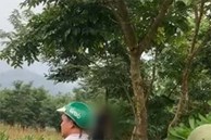 Phát hiện hai người treo cổ tự tử trên đồi cây ở Yên Bái