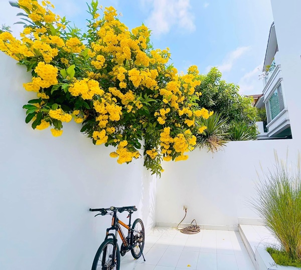 Biệt thự tiền tỷ ngập tràn hoa tươi của vợ chồng Thủy Tiên - Công Vinh-6