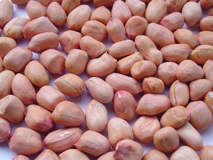 Những bài thuốc chữa bệnh từ hạt lạc-1