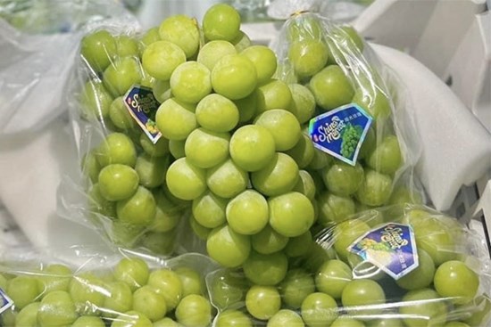 Nho ngoại giá rẻ như rau, thị sáp đầu mùa siêu đắt vẫn 'cháy hàng'