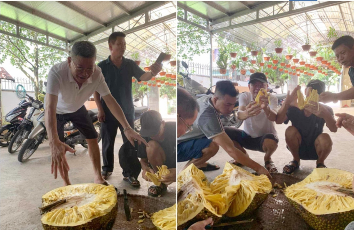 Chủ nhà bổ quả mít khủng gần 55kg, hàng xóm kéo nhau sang thưởng thức-2