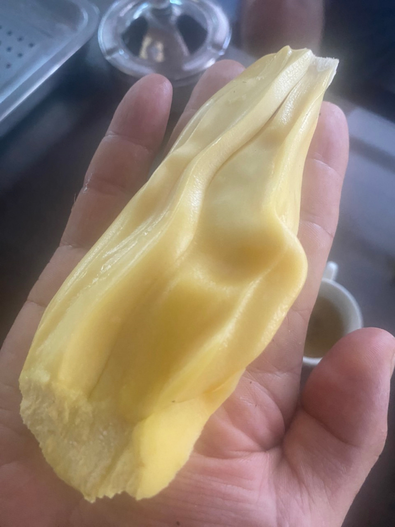 Chủ nhà bổ quả mít khủng gần 55kg, hàng xóm kéo nhau sang thưởng thức-3