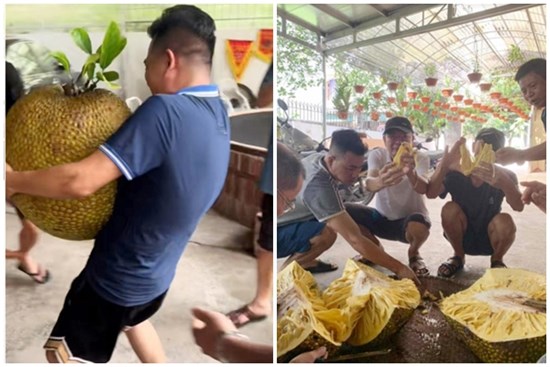 Chủ nhà bổ quả mít 'khủng' gần 55kg, hàng xóm kéo nhau sang thưởng thức