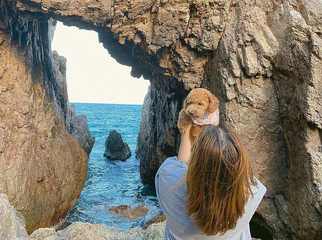 Vẻ đẹp hoang sơ kỳ diệu của Mũi Vi Rồng-10