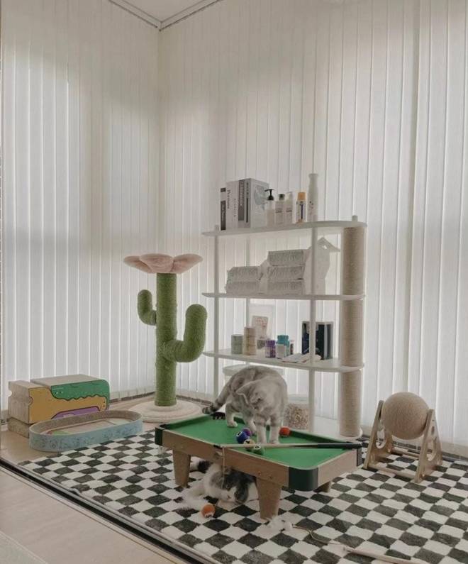 9X dành 15 ngày cải tạo nhà thuê, không gian bên trong vừa ấm áp vừa sang trọng-4