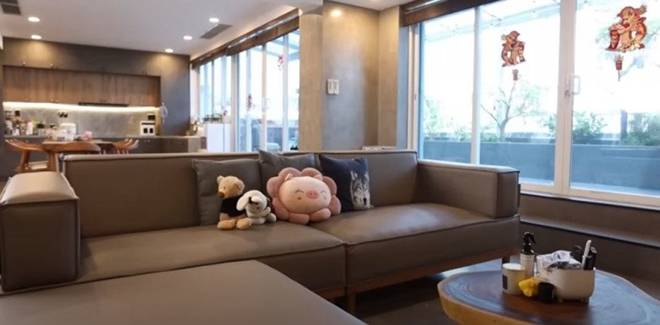 Ngô Kiến Huy sống với 8 con mèo trong penthouse sân vườn, đính chính về giá trị thực của căn nhà-6