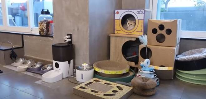 Ngô Kiến Huy sống với 8 con mèo trong penthouse sân vườn, đính chính về giá trị thực của căn nhà-22