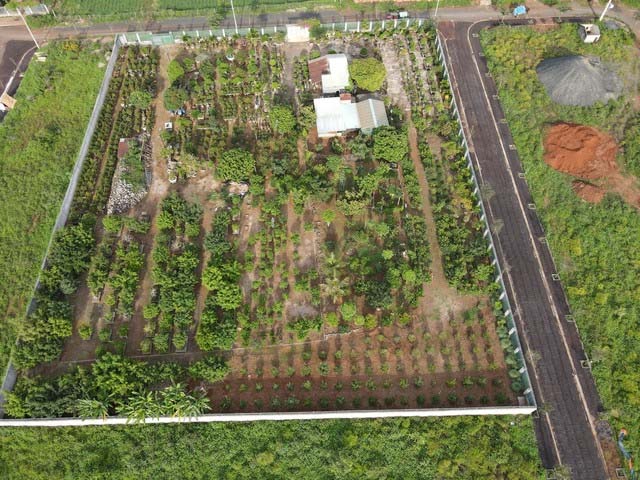 Bắt giữ đại gia nổi tiếng nhất huyện vì liên quan cá độ bóng đá-1