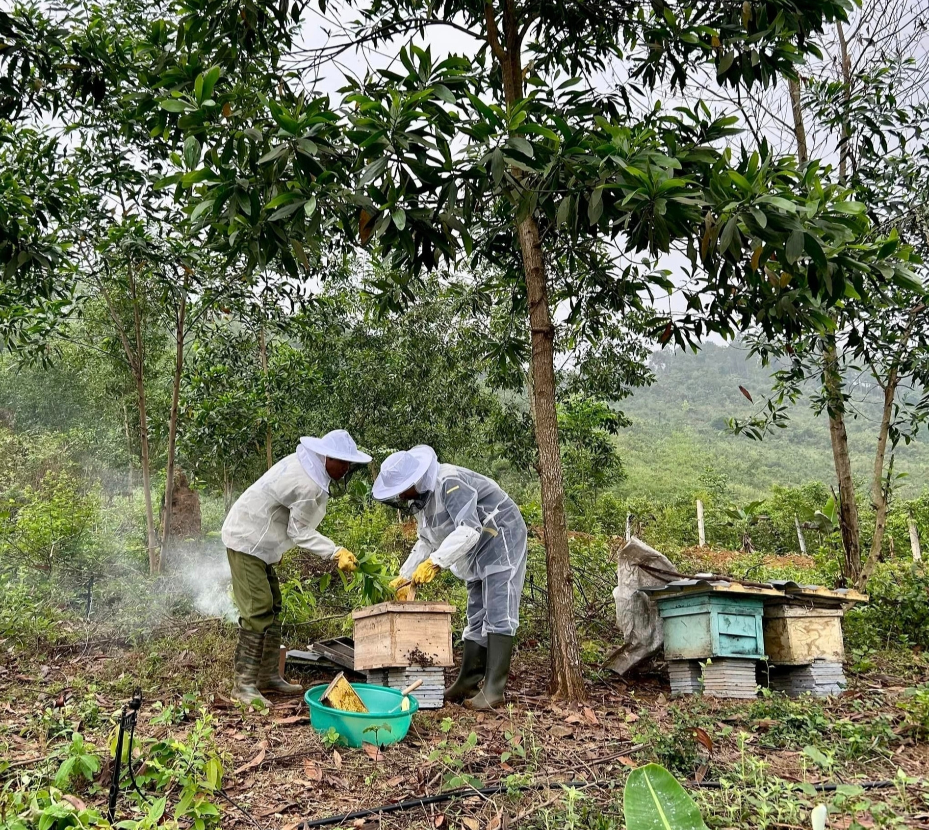 Tậu 2ha đất không điện, thiếu nước, vợ chồng Hưng Yên làm chốn ‘chữa lành’-4