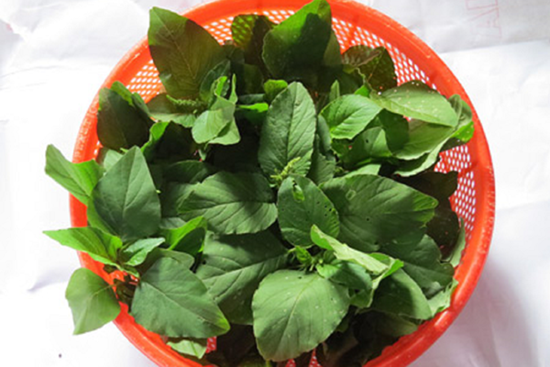 2 loại rau ít 