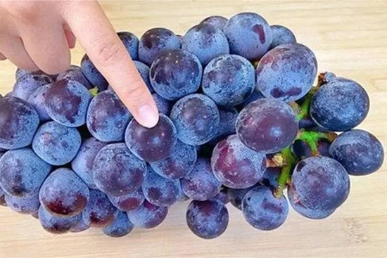 Rửa nho theo cách này khác gì rước ký sinh trùng vào bụng
