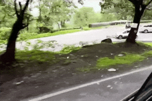 Xe buýt lao xuống vực sâu 61 mét khiến 11 người thương vong-2