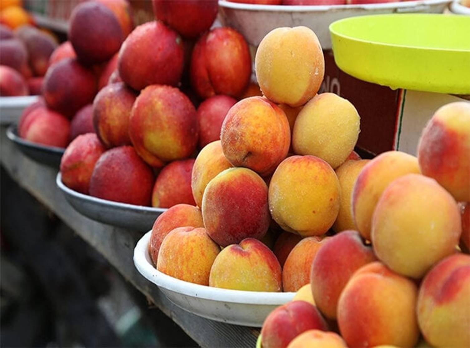 Cách bảo quản đào 1 tháng không lo thối hỏng-4