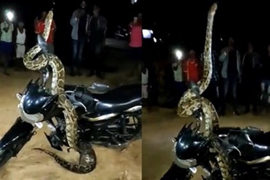 Người dân sốc nặng khi chứng kiến cảnh tượng đáng sợ ở ngay giữa đường