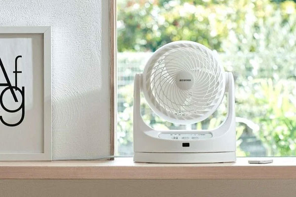 Mua vải nên chọn quả to hay quả nhỏ?-3