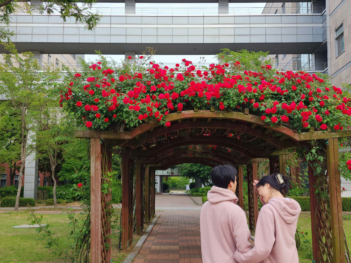 Chuyện tình 10 năm của cặp đôi gương vỡ lại lành, cùng nhau thành tiến sĩ-4