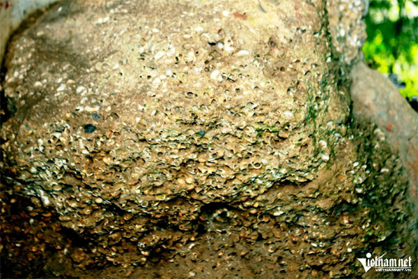 Bí ẩn 3 ngôi mộ trong hang đá ở Ninh Bình, thi hài được chôn trong tư thế nằm co-4