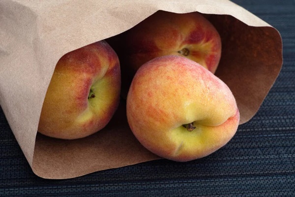 Nên mua quạt điện bao nhiêu cánh?-4