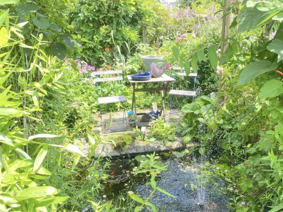 Vợ cũ MC Thành Trung khoe không gian sống nhiều cây xanh, có nhiều điểm chung với nhà mẹ chồng Tây-22