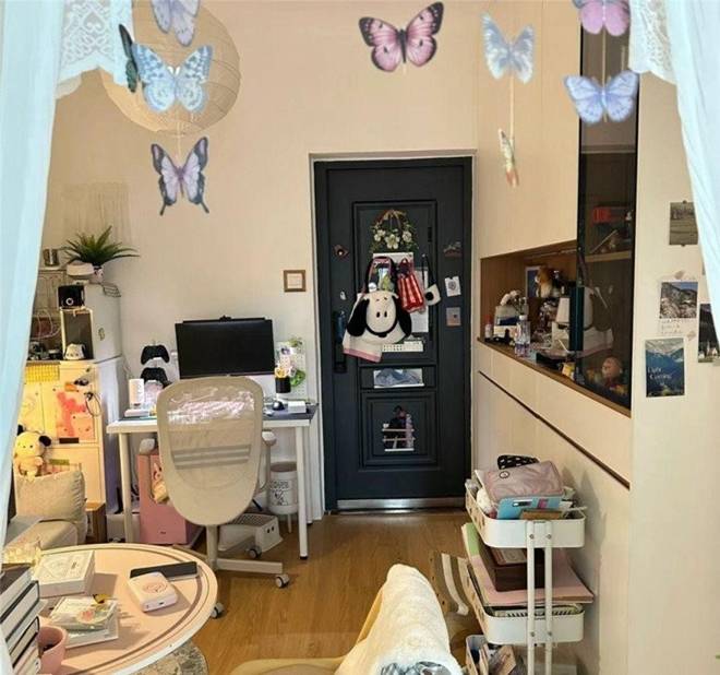 9X cải tạo phòng trọ 25m2 đẹp nên thơ, 1 người 2 mèo sống vô cùng thoải mái-2