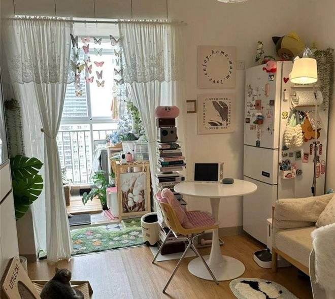 9X cải tạo phòng trọ 25m2 đẹp nên thơ, 1 người 2 mèo sống vô cùng thoải mái-4