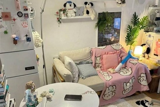 9X cải tạo phòng trọ 25m2 đẹp nên thơ, 1 người 2 mèo sống vô cùng thoải mái