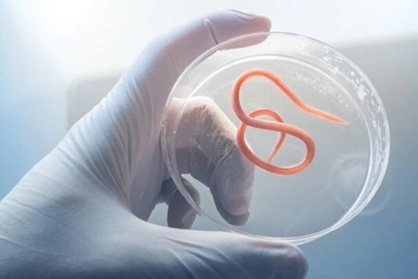 Ba không khi ăn rau sống-2