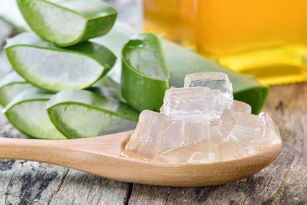 Loại cây mọng nước, bên trong mềm như thạch, ăn vào vừa đẹp da vừa khỏe người-1