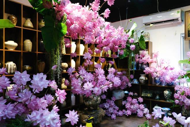 Chị đẹp Hà Thành biến nhà thành rừng hoa nhiệt đới với 1.000 bông sen Nghi Lương-5