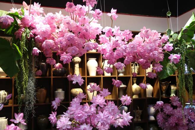 Chị đẹp Hà Thành biến nhà thành rừng hoa nhiệt đới với 1.000 bông sen Nghi Lương-6