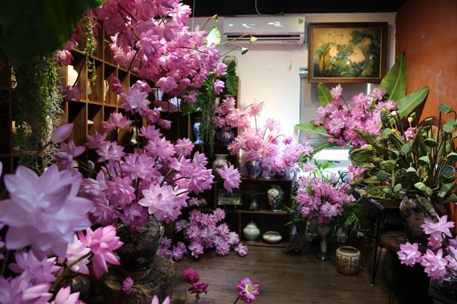 Chị đẹp Hà Thành biến nhà thành rừng hoa nhiệt đới với 1.000 bông sen Nghi Lương-8