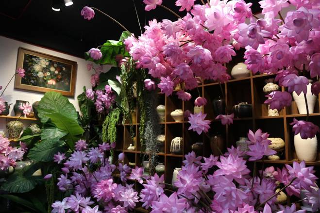 Chị đẹp Hà Thành biến nhà thành rừng hoa nhiệt đới với 1.000 bông sen Nghi Lương-9